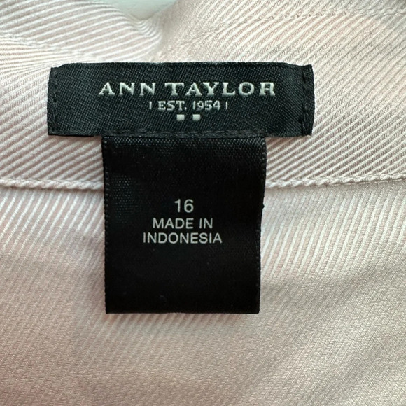 Ann Taylor Smokey Blush Pink Long Sleeve Button Down V-Neck Blouse Plus Size 16 - Picture 5 of 7